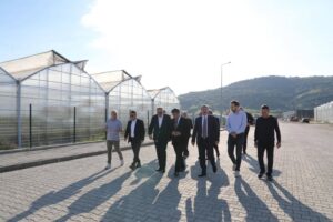 Bafra OTB İnceleme 1